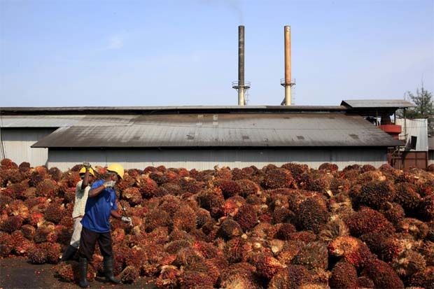 Ringgit slips as oil price slides