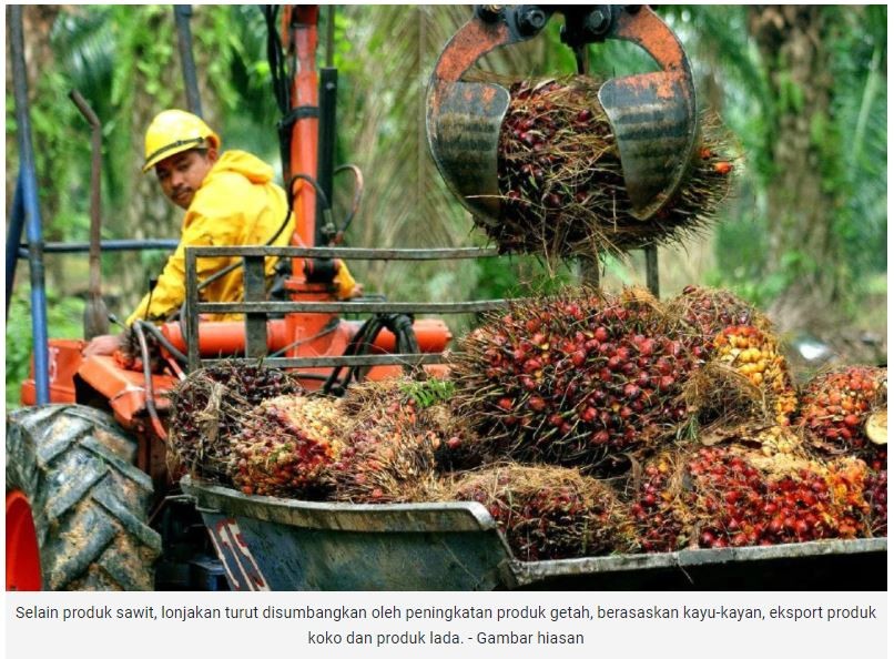 Eksport agrikomoditi naik lebih 60 peratus